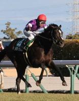  【毎日杯　展望】シンザン記念覇者リラエンブレムが主役　デビュー3連勝なるか