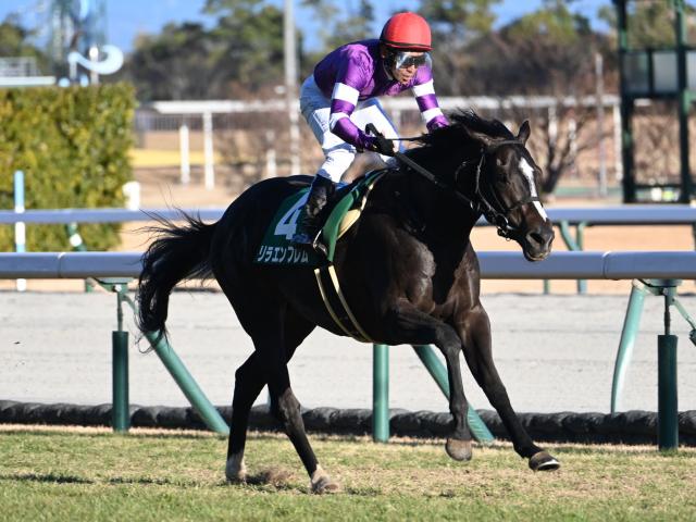 【毎日杯予想オッズ】リラエンブレムが予想1番人気