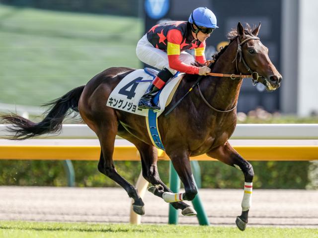 【毎日杯予想】急坂のある阪神は馬力が大事!? 前走の馬体重に顕著な傾向あり