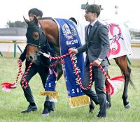  【注目馬動向】フェブラリーSを制したコスタノヴァはかしわ記念へ