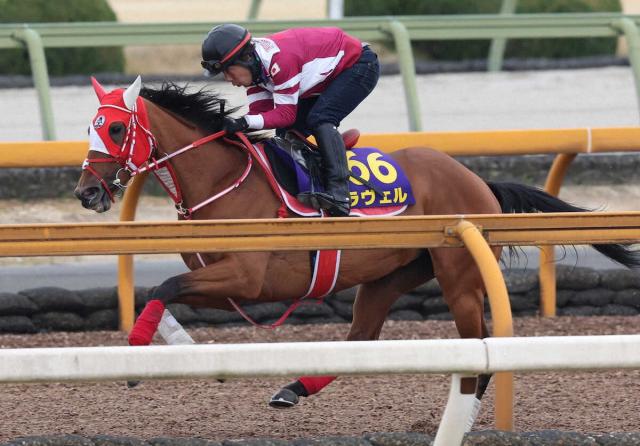 【大阪杯】ラヴェル　心身ともに充実4F52秒1　陣営手応え「しっかり反応して、いい動き」