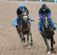  【大阪杯】G2・3勝馬がギア入れなくてもスイスイ加速11秒4　抜群の乗りやすさに横山武史騎手「車に例えると『オートマ』みたい」