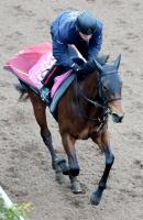  【桜花賞1週前】ランフォーヴァウは坂路で自己ベストを1秒2更新　福永調教師「体は良くなっている」