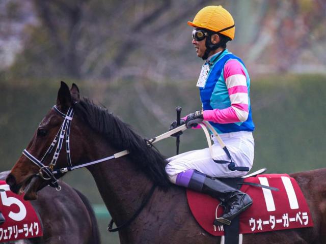 【桜花賞】武豊騎手が21年ぶりの6勝目へ 石橋守厩舎のウォーターガーベラと参戦