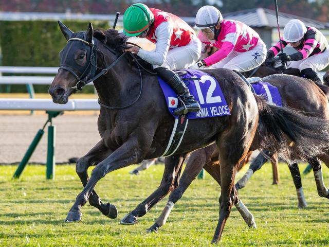 【桜花賞】史上7頭目の2歳女王の戴冠なるか アルマヴェローチェが休み明けで参戦