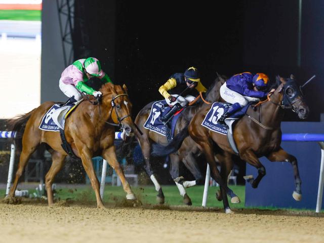 【ドバイGS結果】日本勢はクロジシジョーが4着 地元の伏兵ダークサフロンV