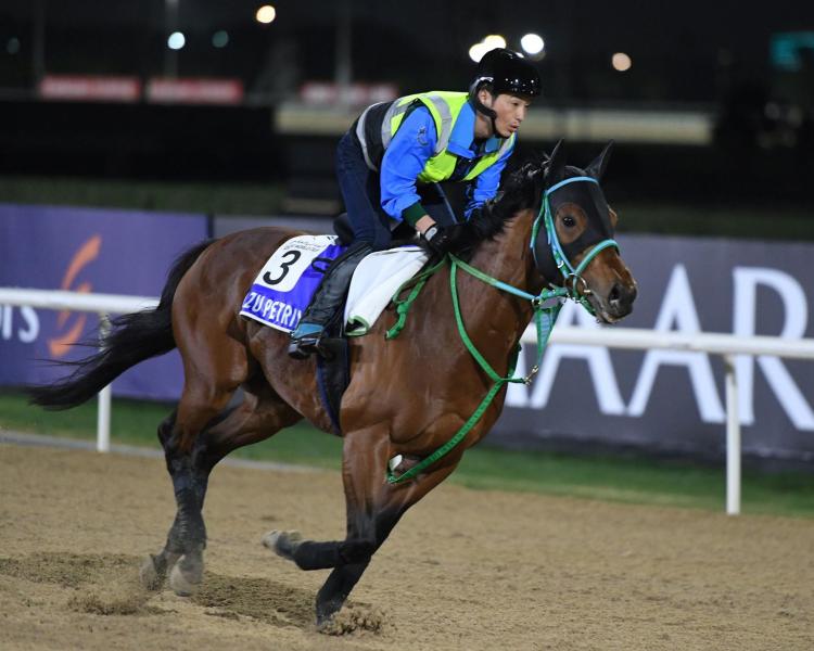 【ゴドルフィンＭ】日本勢Ｖならず　カズペトシーン追い上げるも３着　ペプチドナイルは直線失速１１着