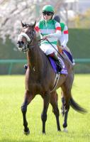  【大阪杯】1番人気のシックスペンスが7着敗退　横山武史騎手「ガソリンが切れた感じ」