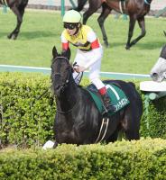  【注目馬動向】ダービー卿チャレンジT2着のコントラポストはエプソムCを視野に