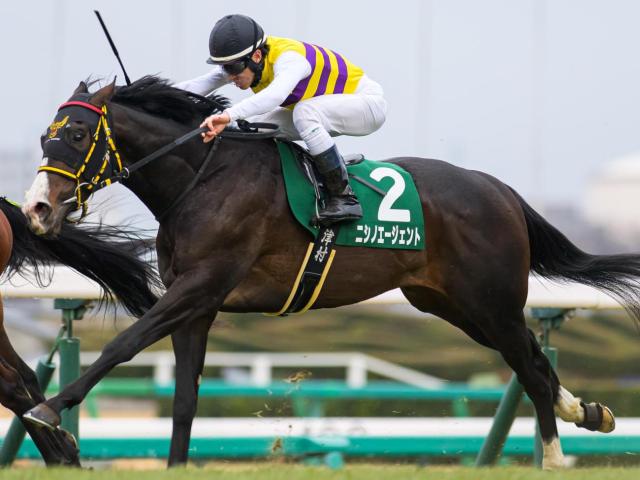 【皐月賞】千葉直人調教師がGI初挑戦 京成杯覇者のニシノエージェントで一発狙う