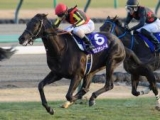  【皐月賞】苦戦傾向の1番人気は5年ぶりに制すのか 今年はクロワデュノールが参戦