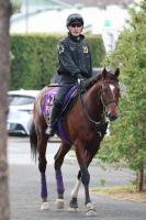  【ニュージーランドT】アドマイヤズーム　軽快な動き披露　友道師納得「順調にきています」