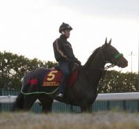  �ں��־ޡۥ��ꥫ�������ץ쥹����궯�����б����԰¡������ե����꡼S�Ȥϲ��10ǯ����