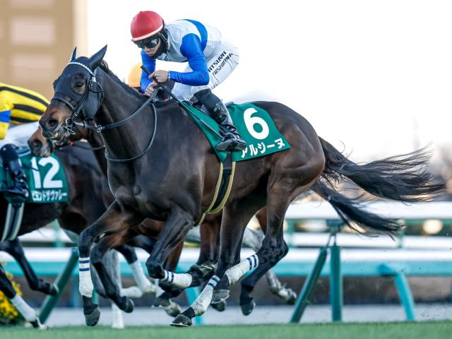 【阪神牝馬S予想】前走がローカル場所だった馬は苦戦傾向！ 中央場所でもコースによっては注意が必要
