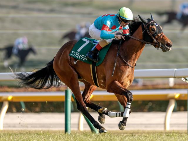 【桜花賞予想】チューリップ賞組と阪神JF組が中心!? 前走ステップレース快勝の人気馬に立ちはだかる消去法データとは