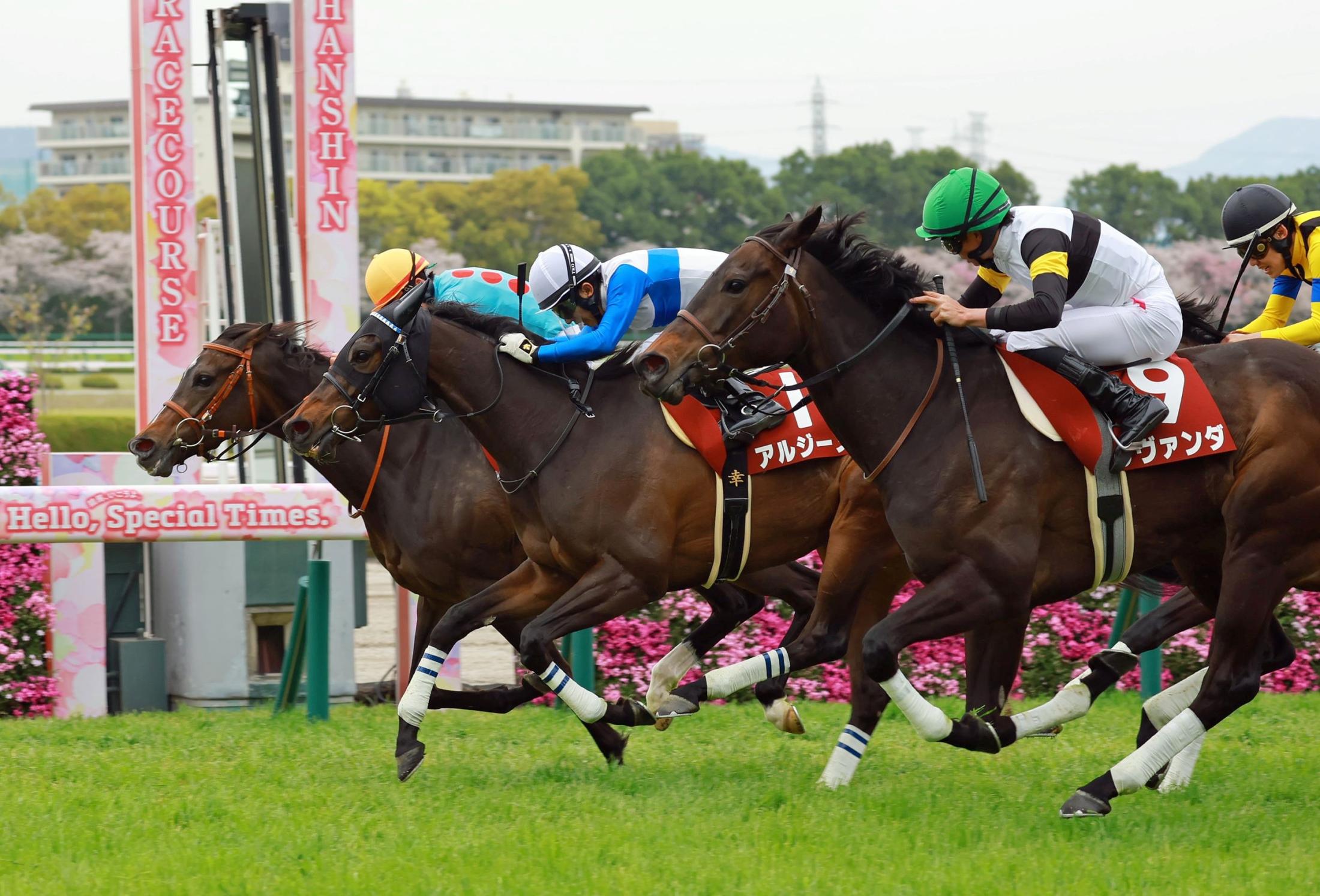 【阪神牝馬Ｓ】格上挑戦の９番人気サフィラが桜舞う仁川で良血開花の重賞初制覇　松山「康太さんにありがとうと言いたい」