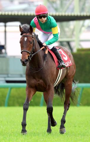ヴィクトリアマイル2024 有力馬情報｜G1特集｜競馬情報ならJRA-VAN