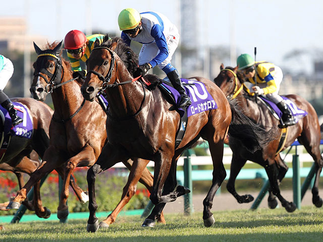 母は米GI覇者 ダノンジョーカーが川田将雅騎手で初陣だ