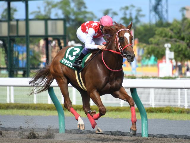 【25年の新種牡馬たち】昨年6月に急逝したマテラスカイ 残された3世代の中から活躍馬は現れるか