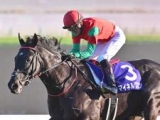  【中山GJ想定騎手】マイネルグロンは石神深一騎手、スマイルスルーは高田潤騎手