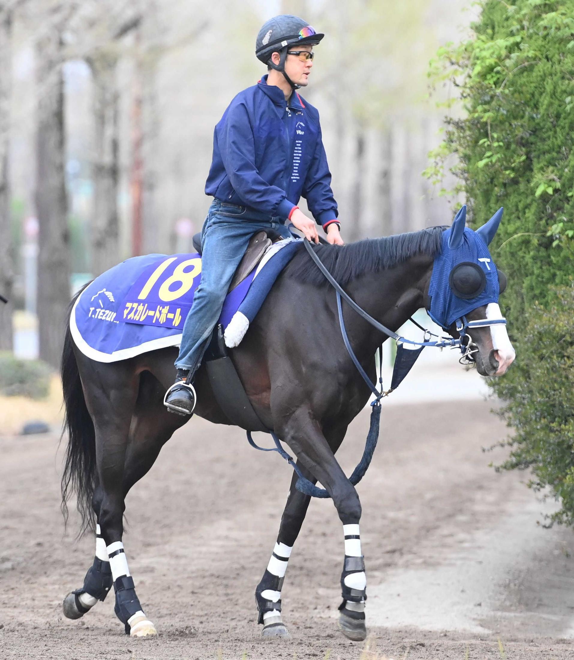 ジャパンカップ2024】出走予定馬・レース概要・日程・歴代優勝馬