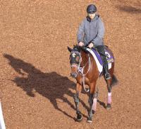  【皐月賞】ファウストラーゼン　疲れも取れ順調「相手は強いが楽しみ」