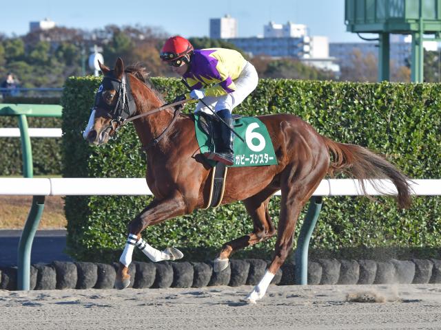 【大井・東京スプリント注目馬】15頭中11頭が重賞勝ち馬 好メンバー集うダート短距離戦