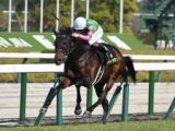  【週末情報】無敗ジーティーアダマン皐月賞へ好状態/馬三郎のつぶやき