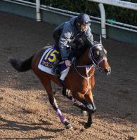 【皐月賞】ファウストラーゼン　時計も予定通り「前走と同じぐらいの状態」