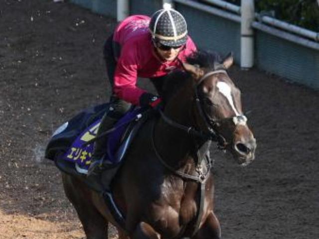 【皐月賞】“未完の大器”エリキング間に合った!　坂路でラスト1F12秒7　骨折の影響「ほぼない」