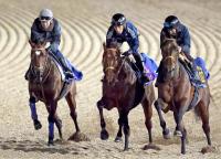  タスティエーラが切れ味見せて最先着　堀厩舎の海外遠征馬が豪華3頭併せ　サトノレーヴ&ルクソールカフェも順調