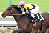  ルクソールカフェのケンタッキーダービーは引き続きモレイラ騎手とタッグ　競馬場の広報担当がXで伝える