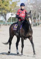  【皐月賞】ニシノエージェントは1枠1番　千葉調教師「どんな競馬でもできる馬」　父イスラボニータと同じ白帽