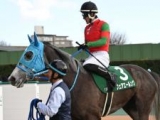  【福島牝馬S枠順確定】フェアエールングは3枠5番、アドマイヤマツリは1枠1番