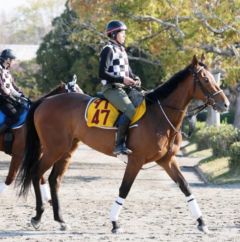 【福島牝馬S】充実一途ホーエリートが6枠12番から悲願重賞初Vへ　重賞連勝めざすフェアエールングは3枠5番
