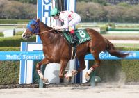  【アンタレスS】ミッキーファイト重賞3勝目!余裕たっぷり2馬身半差　ルメール「強い」