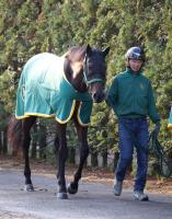  馬トク外厩情報からの推奨馬…皐月賞・G1