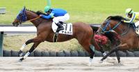  【中山6R・3歳1勝クラス】素質馬のナルカミが巻き返しの勝利　戸崎圭太騎手「レースでも集中していた」