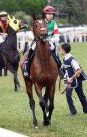  クイーンエリザベス2世Cに参戦するタスティエーラとチェアマンズスプリントプライズに参戦するサトノレーヴが香港に到着