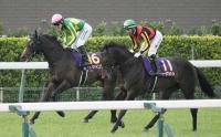  【皐月賞】サトノシャイニング5着　西村淳「何回も不利。終始ストレスの掛かる競馬に…」