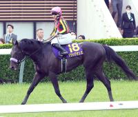  【皐月賞】折り合い重視で進めたマジックサンズが6着　佐々木大輔騎手は「かなり立て直っていた」