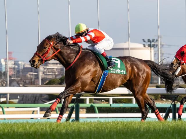 【先週のJRA抹消馬】短距離重賞2勝のヴェントヴォーチェ、今年のゴドルフィンMで3着のカズペトシーンなど