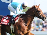  【青葉賞】ペルーサ唯一の重賞勝利から15年 無敗かつ4馬身差の圧勝劇を振り返る
