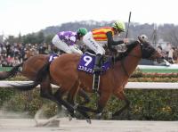  【船橋競馬　かしわ記念】選定馬を発表　フェブラリーS優勝馬コスタノヴァがエントリー
