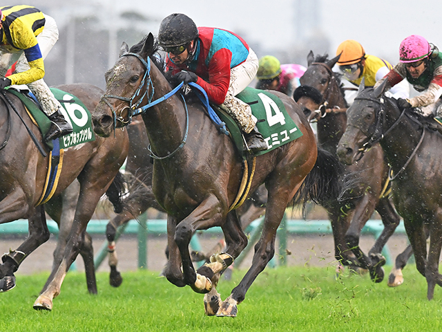 23年フラワーカップ覇者のエミューが登録抹消 今後はノースヒルズで繁殖馬に