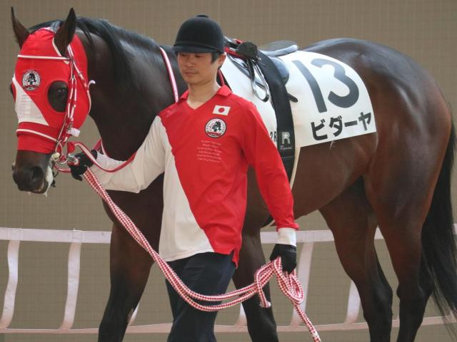 【鎌倉S】半兄はGII・3勝のシャケトラ ビダーヤが3連勝でオープン入りなるか