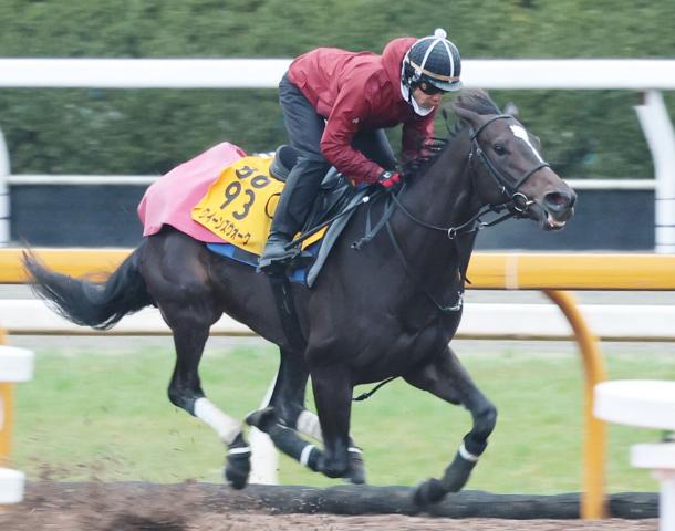 【注目馬動向】金鯱賞Vのクイーンズウォークは川田将雅騎手とのコンビでヴィクトリアマイルへ