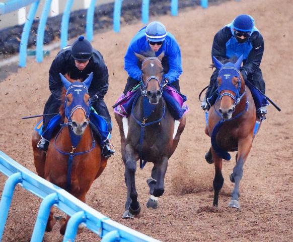 【フローラS】ゴーソーファー　状態アップ実感　津村「この馬なりに順調なのが何より」