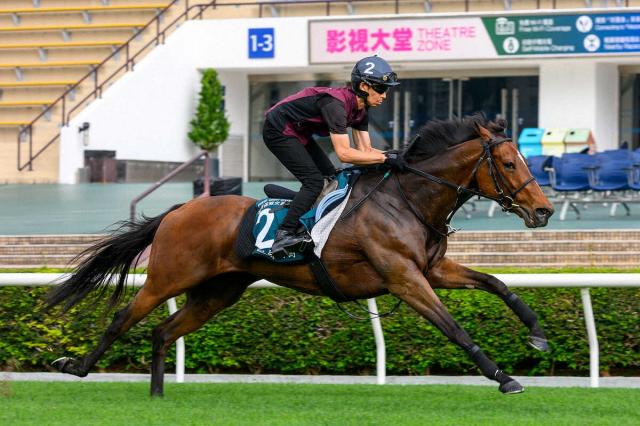 【香港・QE2世C】リバティアイランド　さすがの切れ味!陣営「芝の感触は良くなっている」
