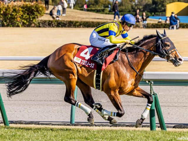 “好敵手”J.マクドナルド騎手が新パートナー プログノーシス悲願の戴冠なるか